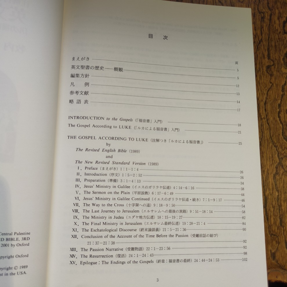 注解付き 英文聖書を読む「ルカ福音書でたどるイエスの生涯」 - 画像 (3)
