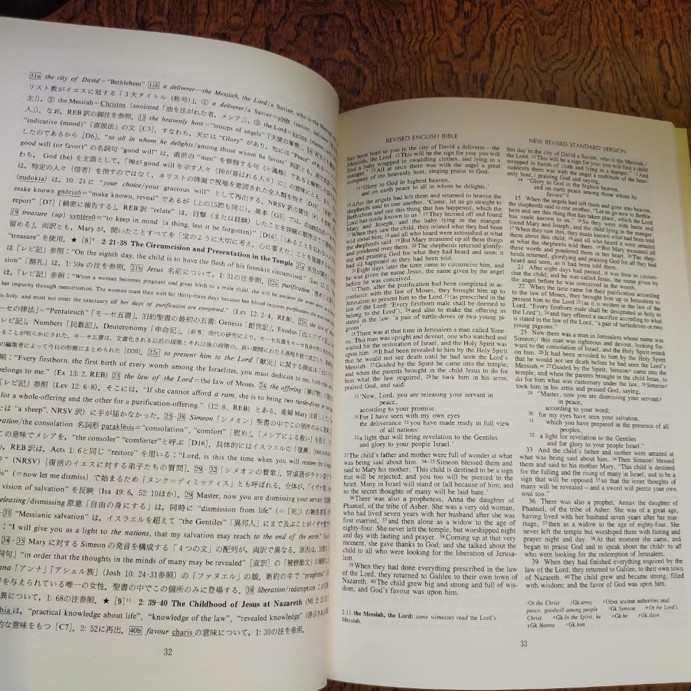 注解付き 英文聖書を読む「ルカ福音書でたどるイエスの生涯」 - 画像 (4)